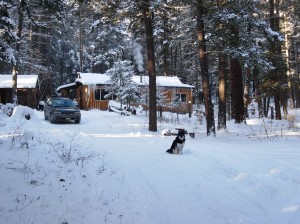 The Estate pre-first cut. The Estate pre-first cut.