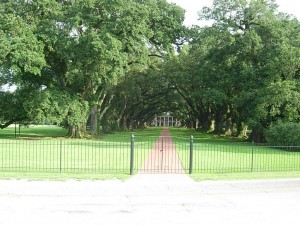 Front lawn after first mowing of the season. Front lawn after first mowing of the season.