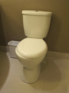 Delta Vancouver Airport Toilet